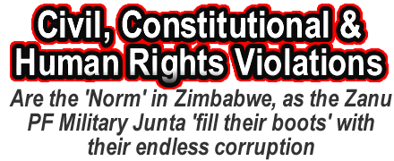 Zexit the separation of Zimbabwe from Zanu PF